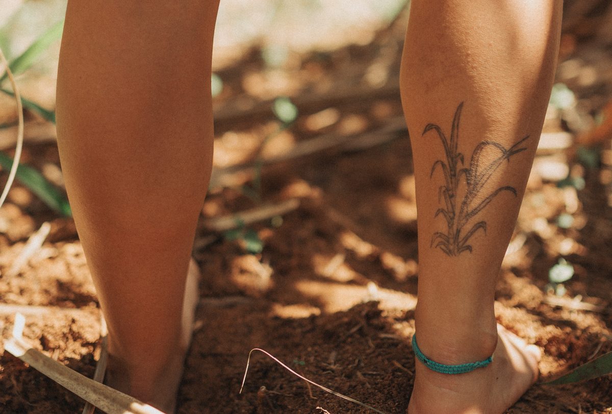 Pés descalços na terra vermelha do canavial; na canela, a tatuagem de uma cana-de-açúcar